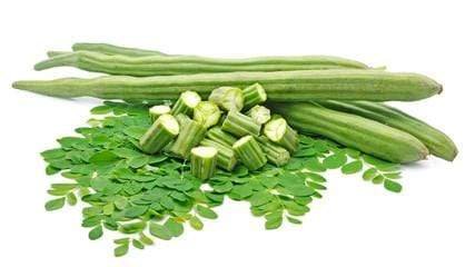 Drumstick Leafs 1 bundle