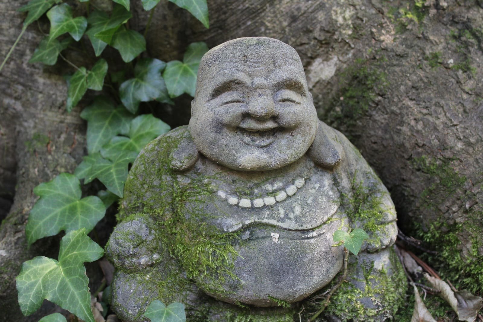 Laughing Buddha
